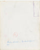 Marlene Dietrich Original Vintage Movie Poster