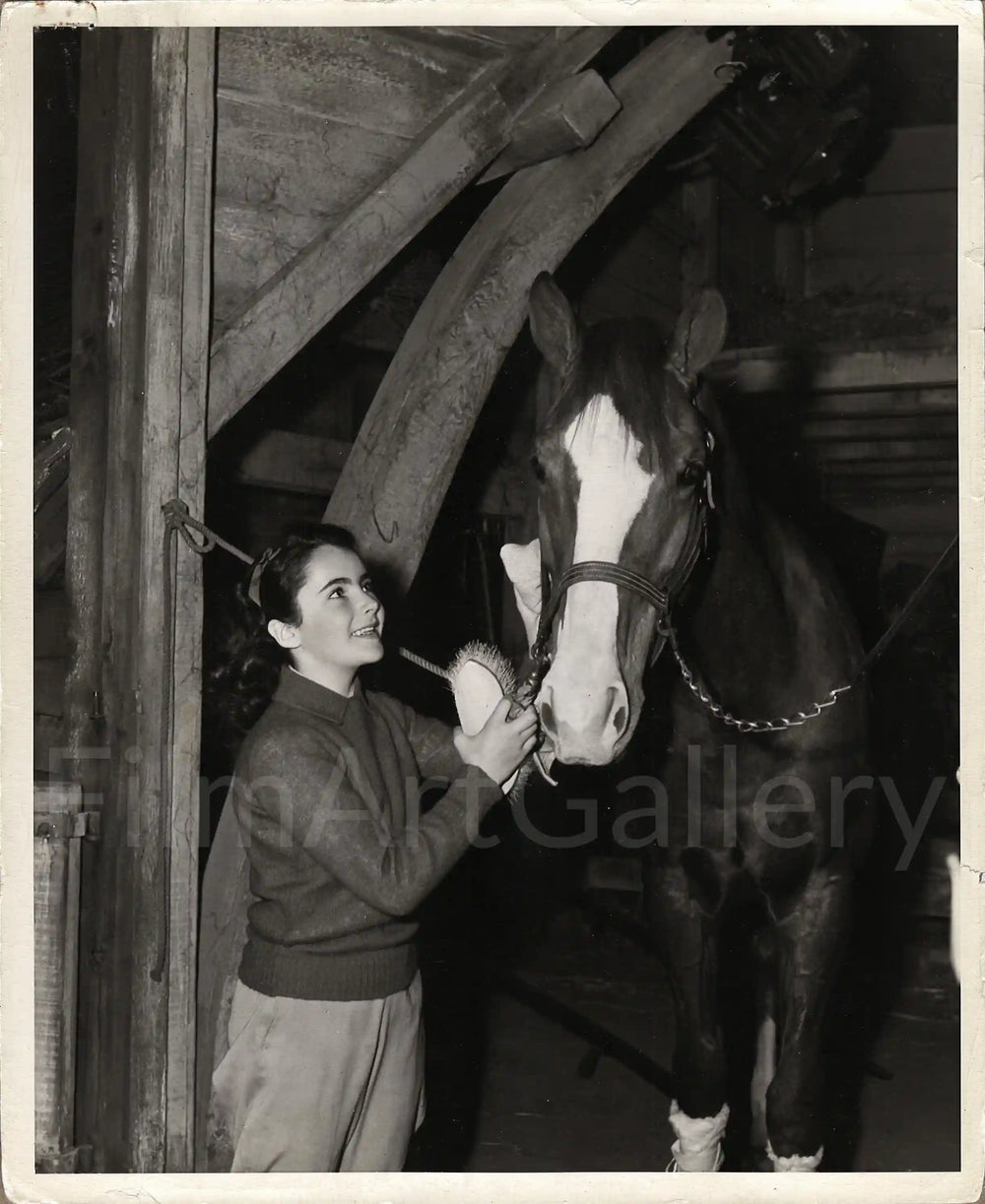 National Velvet Original Vintage Movie Poster