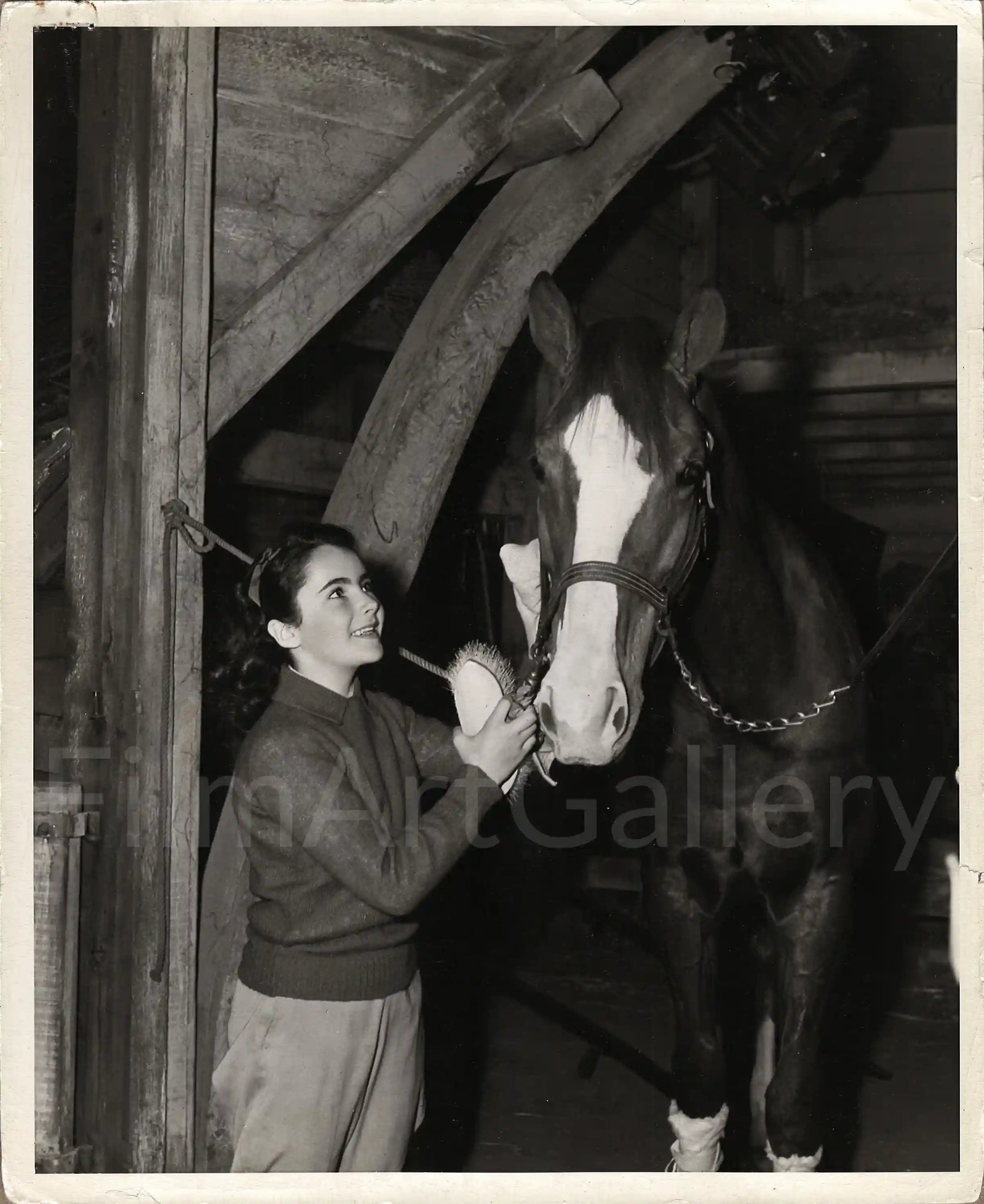National Velvet Original Vintage Movie Poster
