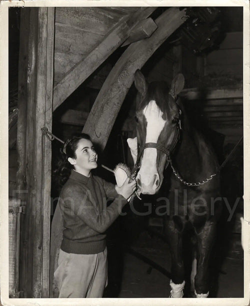 National Velvet Original Vintage Movie Poster