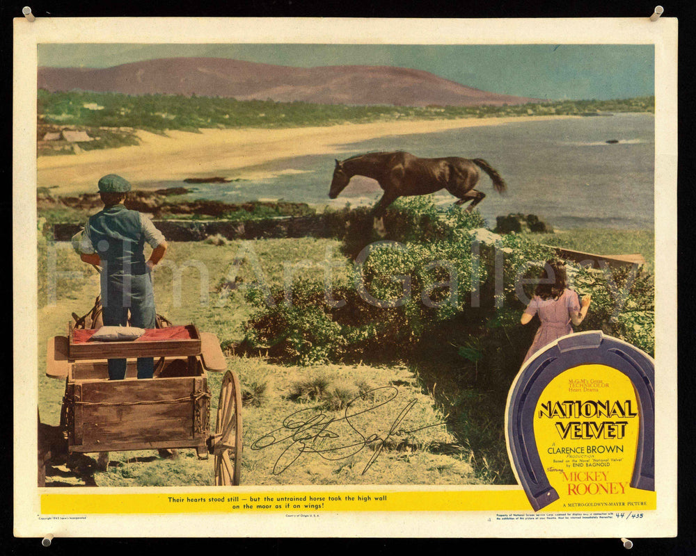 National Velvet Original Vintage Movie Poster