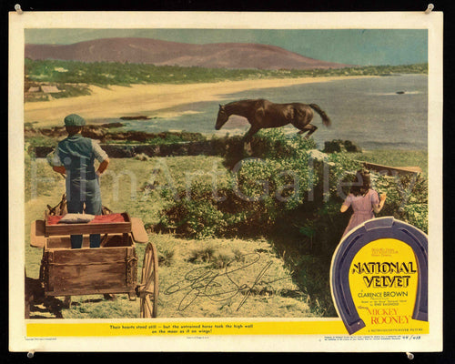 National Velvet Original Vintage Movie Poster