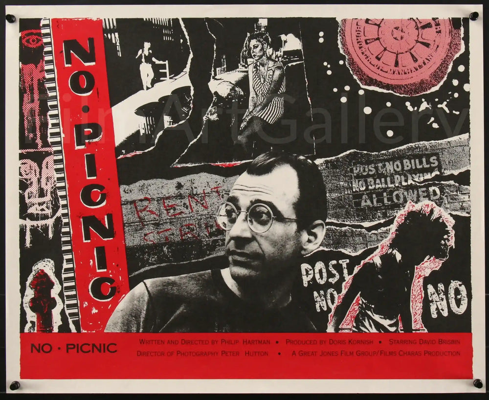 No Picnic Original Vintage Movie Poster