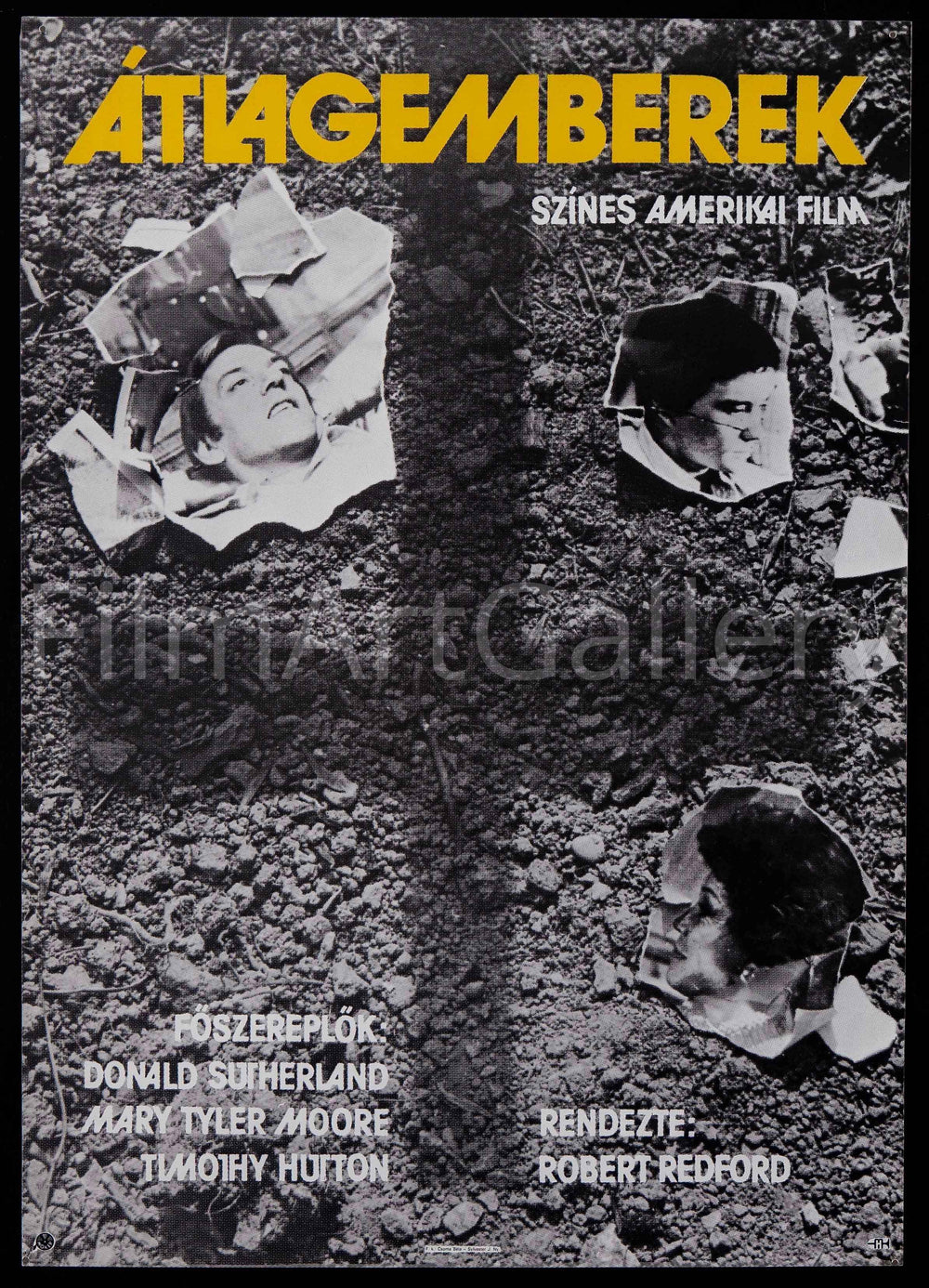 Ordinary People Original Vintage Movie Poster