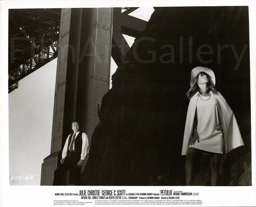 Petulia Original Vintage Movie Poster