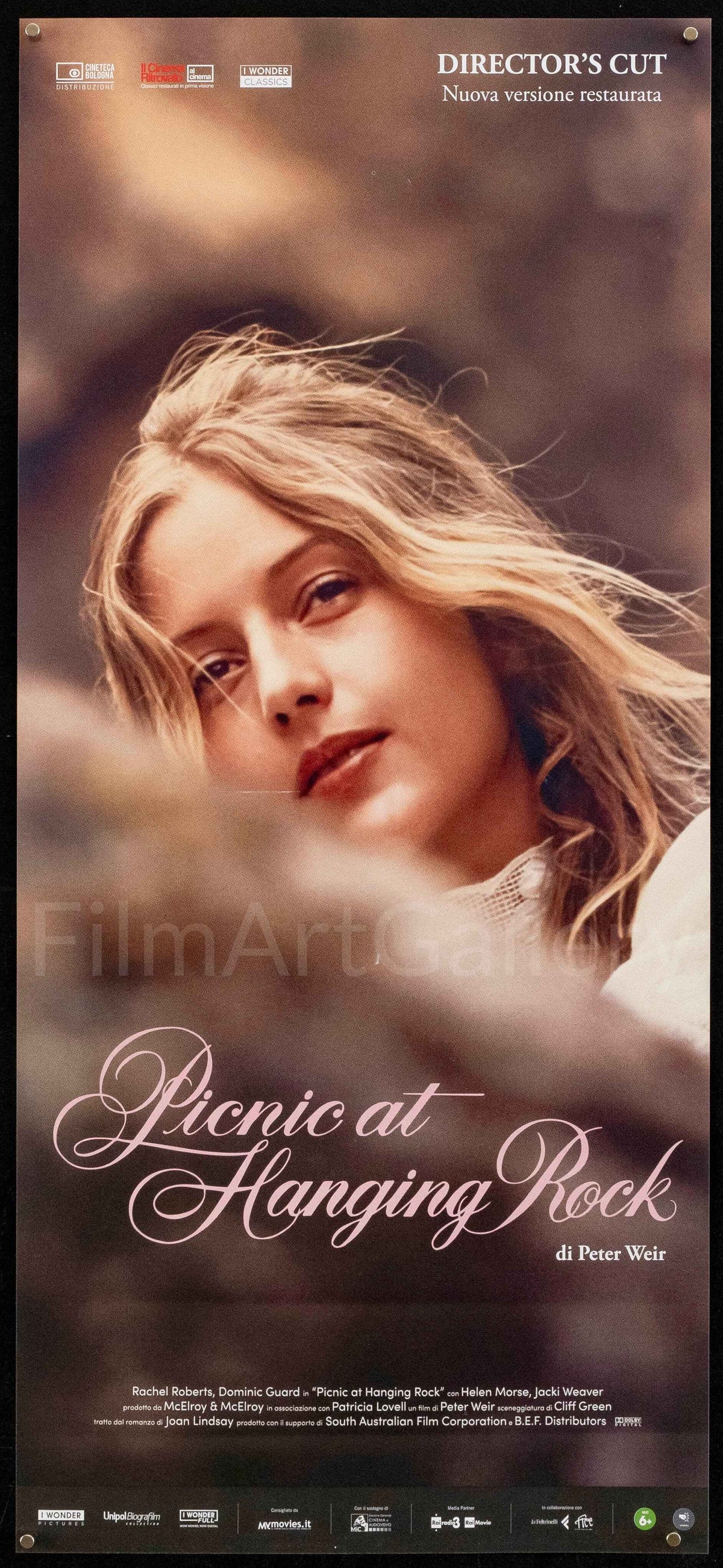 Picnic At Hanging Rock Original Vintage Movie Poster