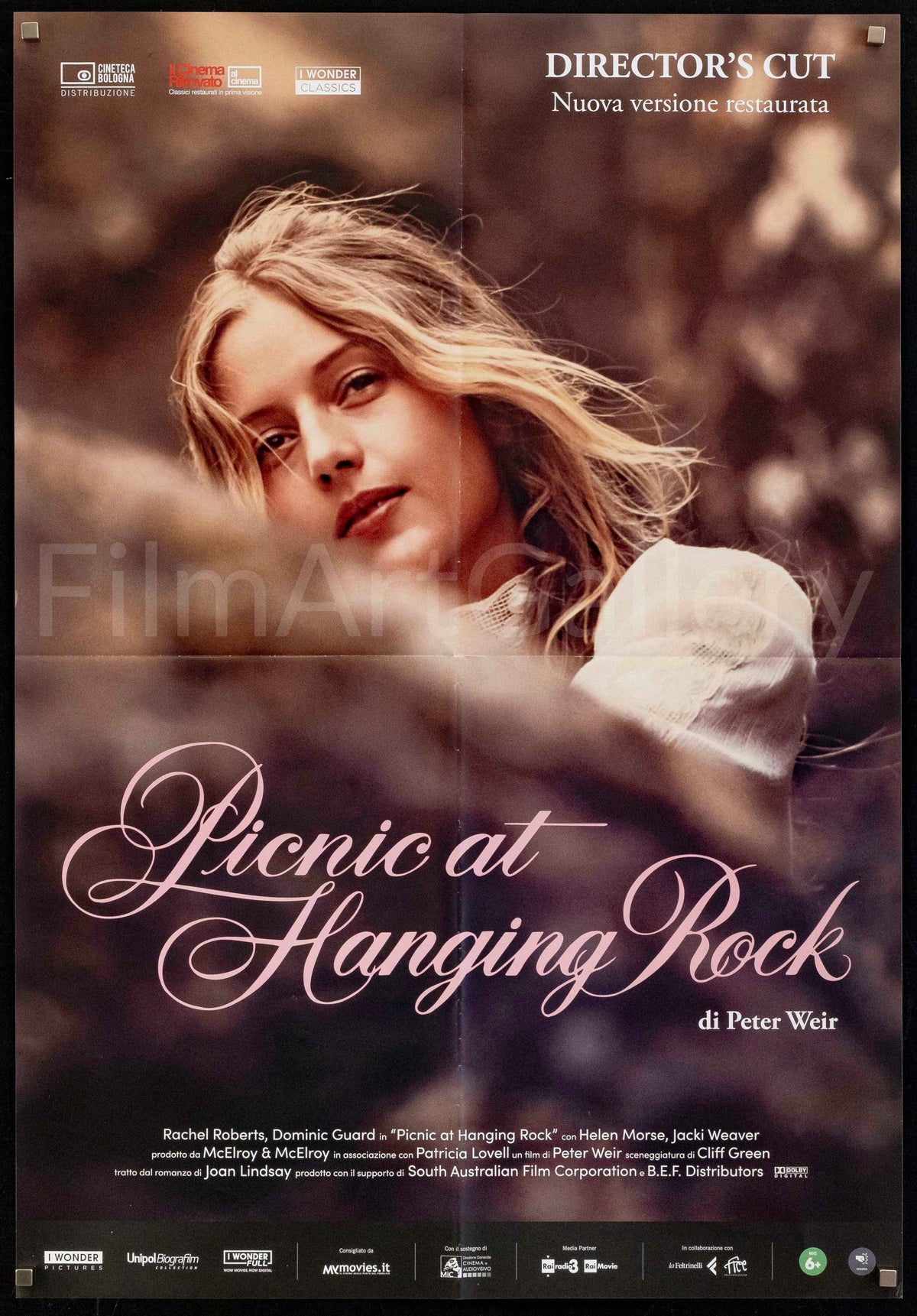 Picnic At Hanging Rock Original Vintage Movie Poster