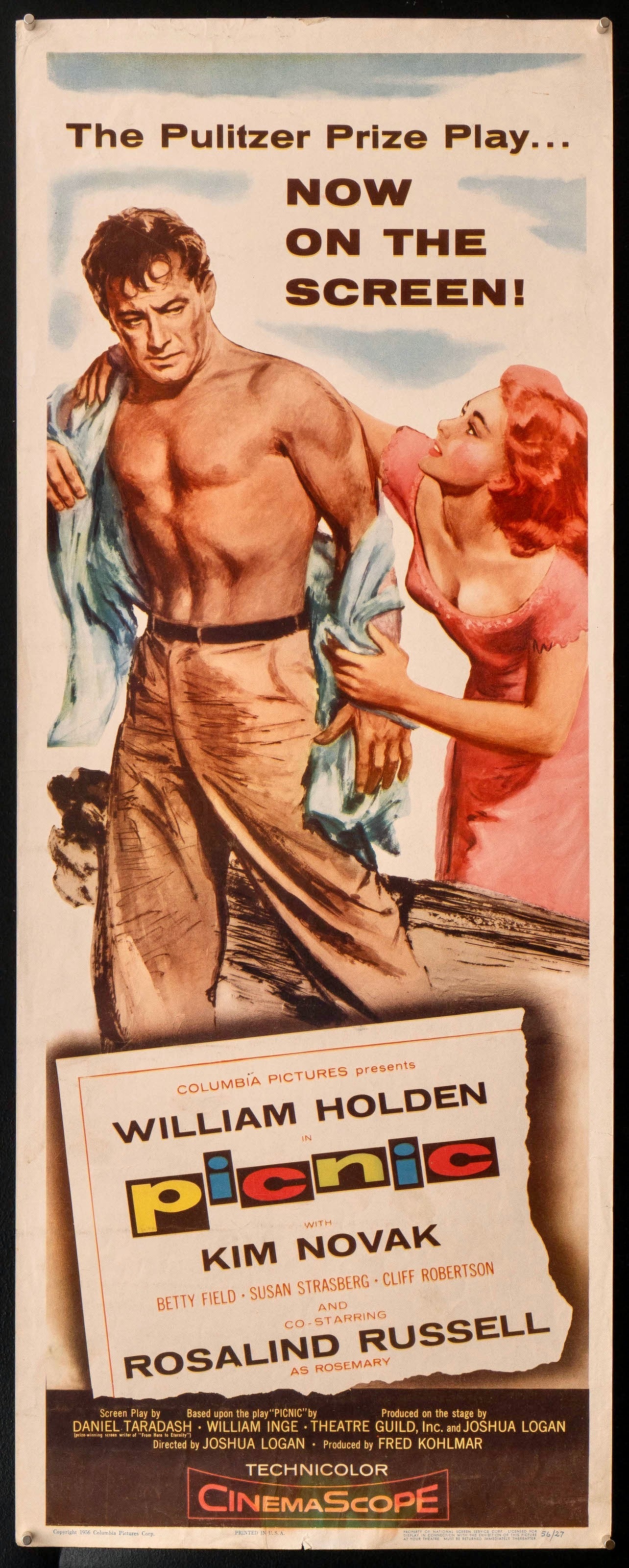Picnic Original Vintage Movie Poster