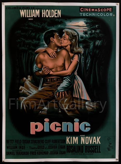 Picnic Original Vintage Movie Poster