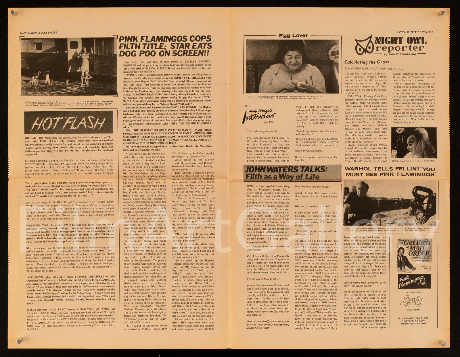 Pink Flamingos Original Vintage Movie Poster