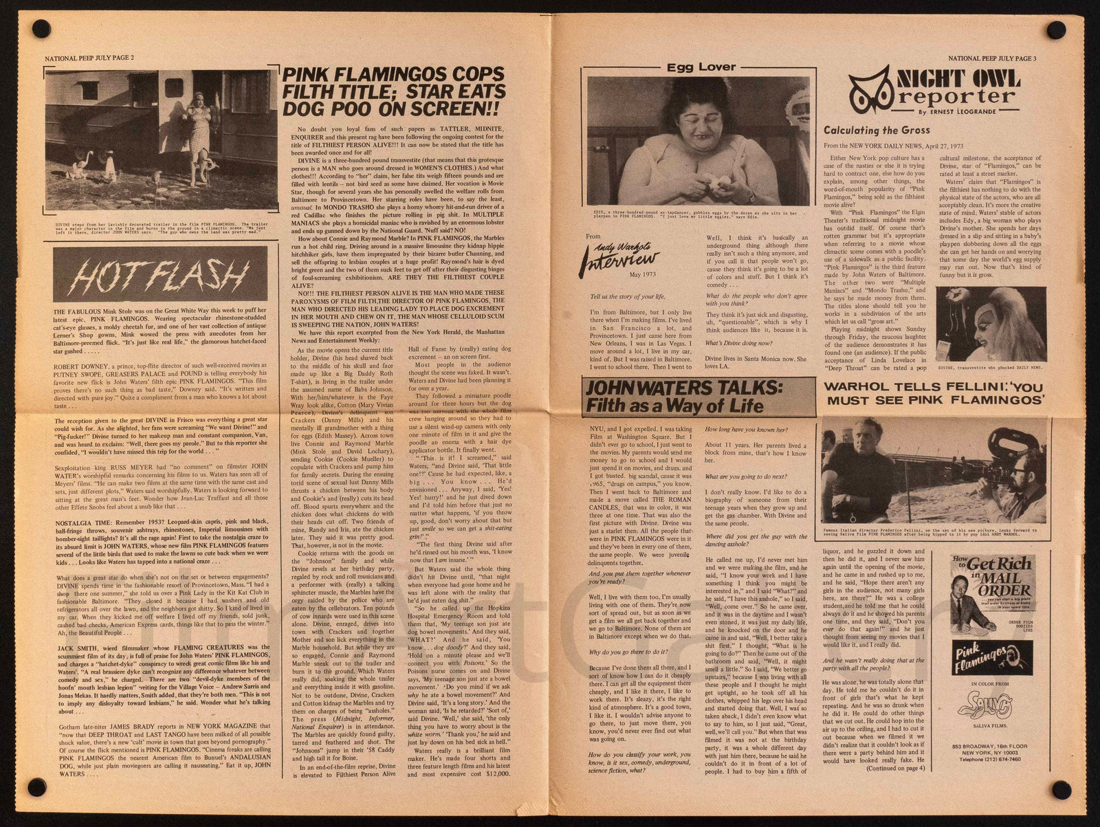 Pink Flamingos Original Vintage Movie Poster