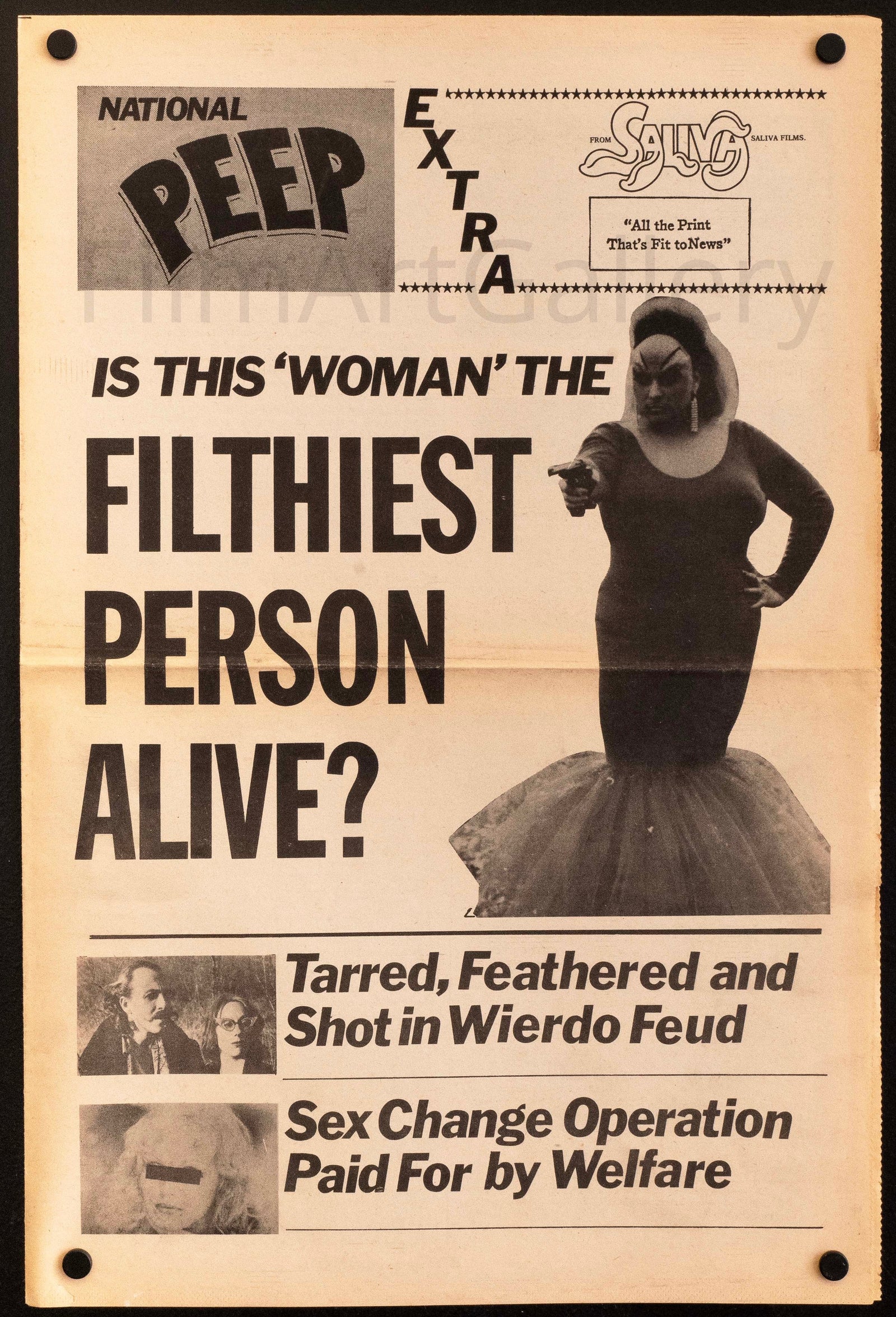 Pink Flamingos Original Vintage Movie Poster