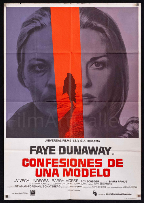 Puzzle of a Downfall Child Original Vintage Movie Poster