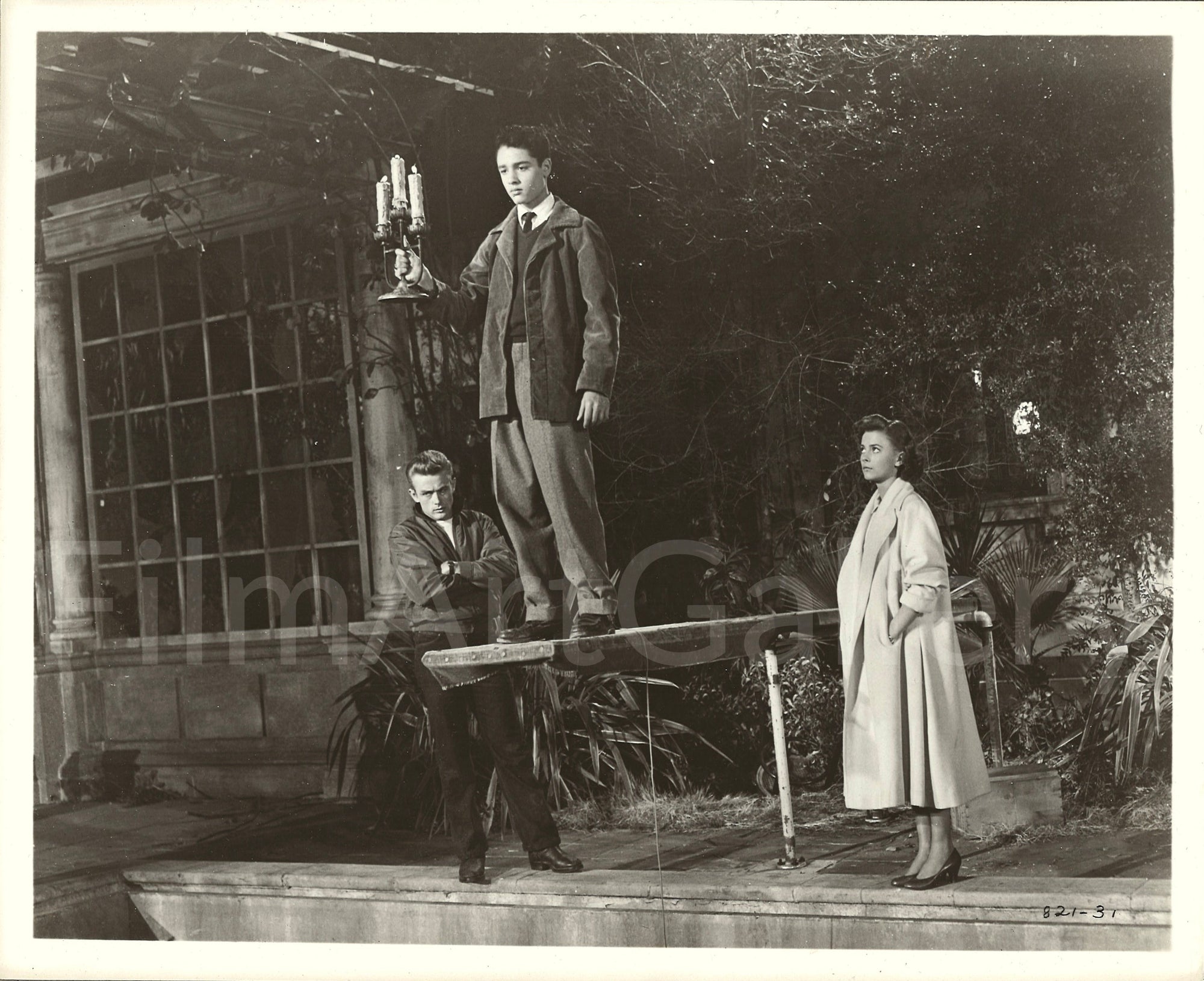 Rebel Without a Cause