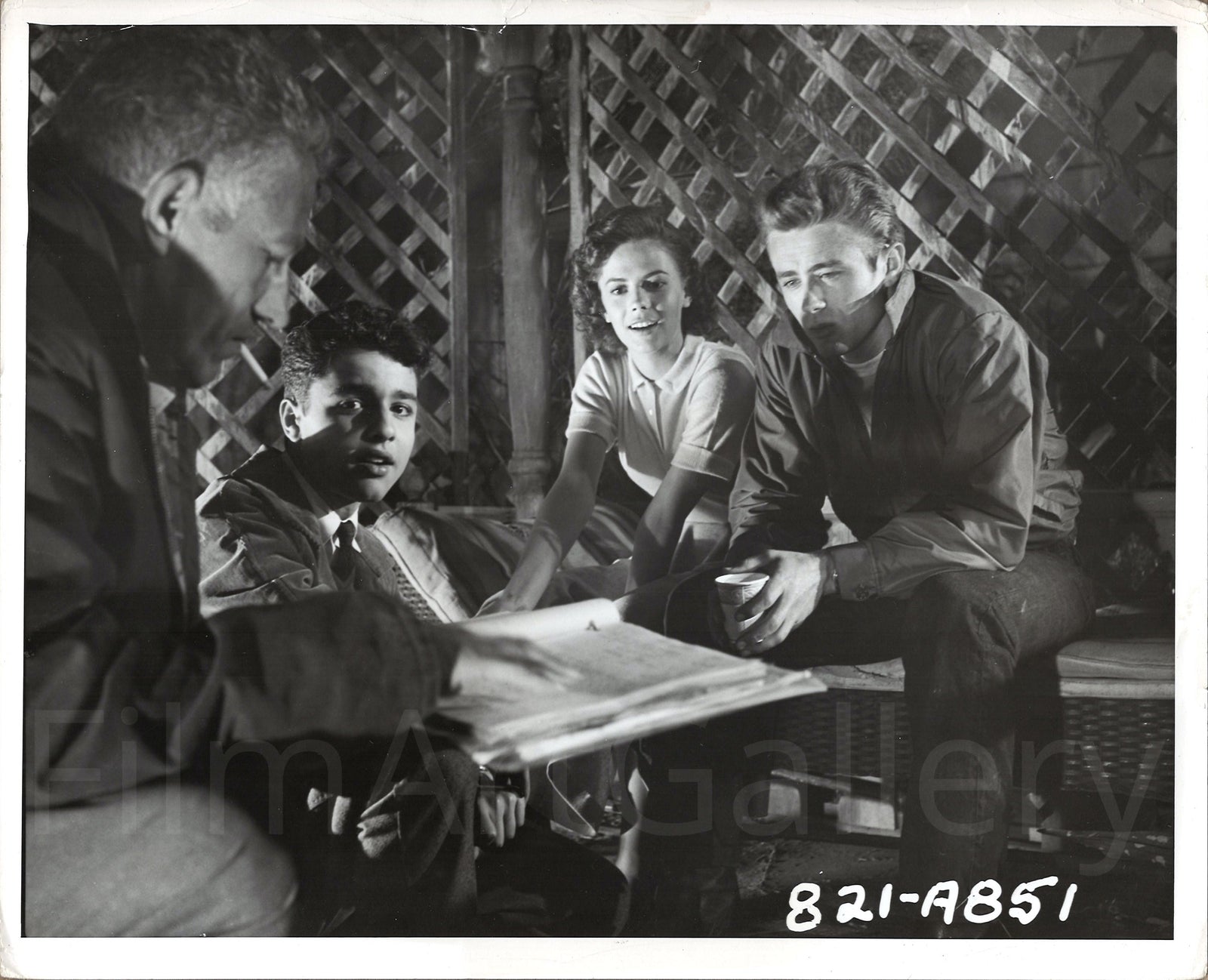 Rebel Without a Cause Original Vintage Movie Poster