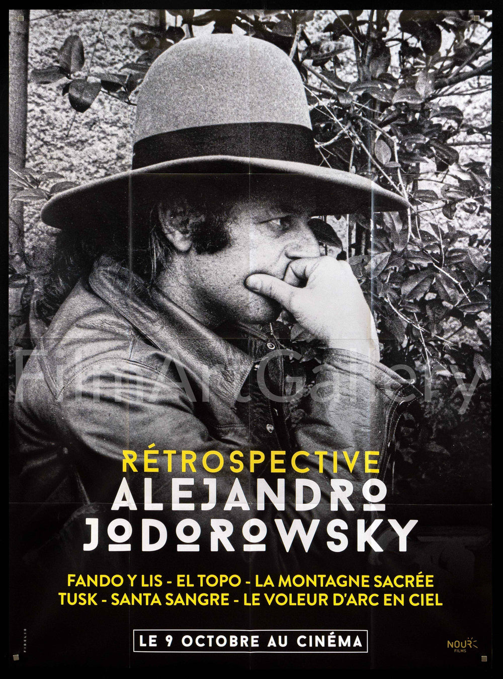 Retrospective Alejandro Jodorowsky Original Vintage Movie Poster