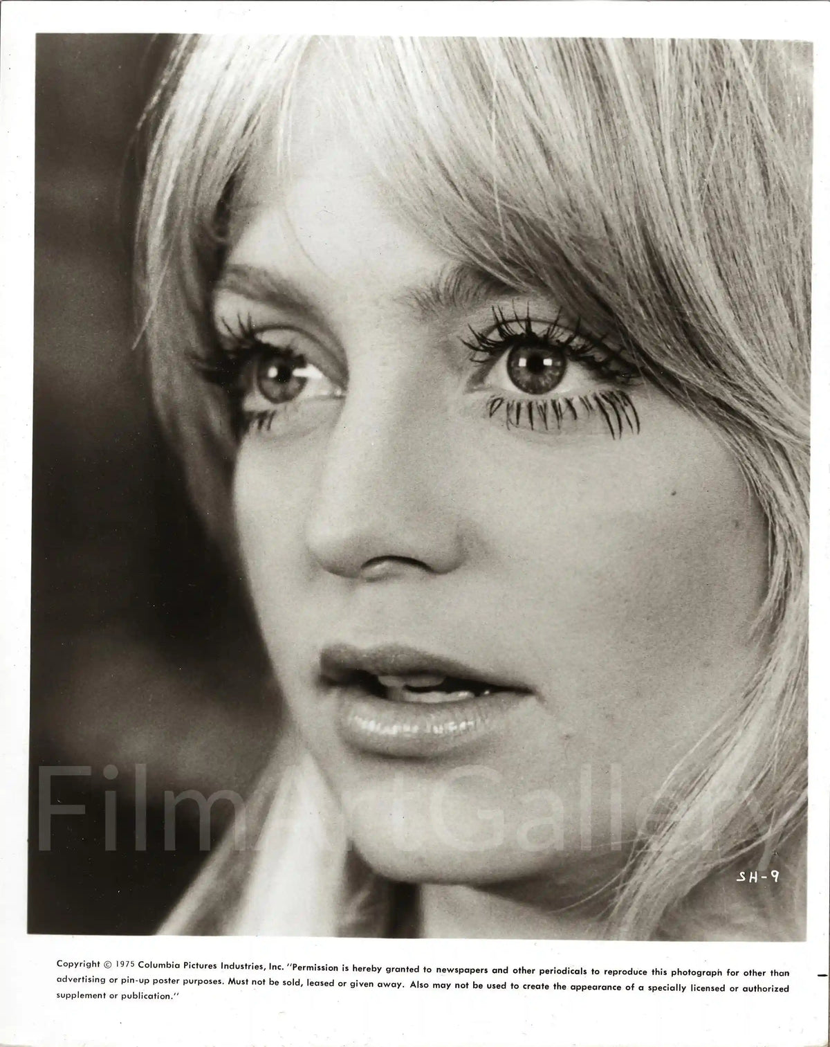 Shampoo Original Vintage Movie Poster