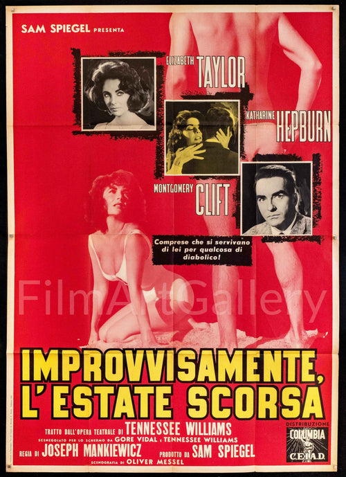 Suddenly, Last Summer Original Vintage Movie Poster