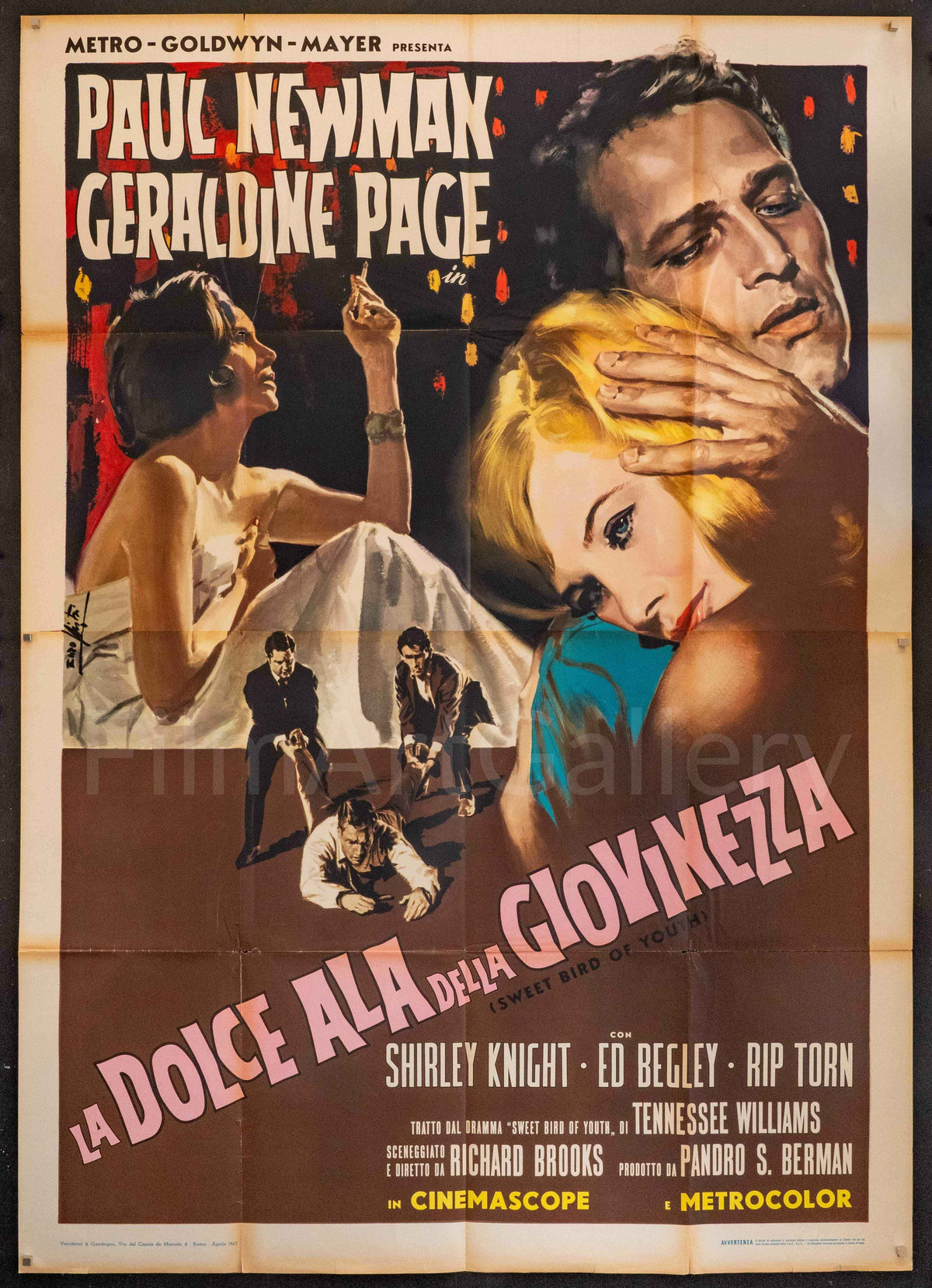 Sweet Bird of Youth Original Vintage Movie Poster