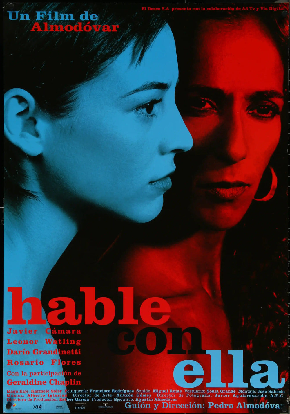 Talk to Her (Hable con Ella) Original Vintage Movie Poster