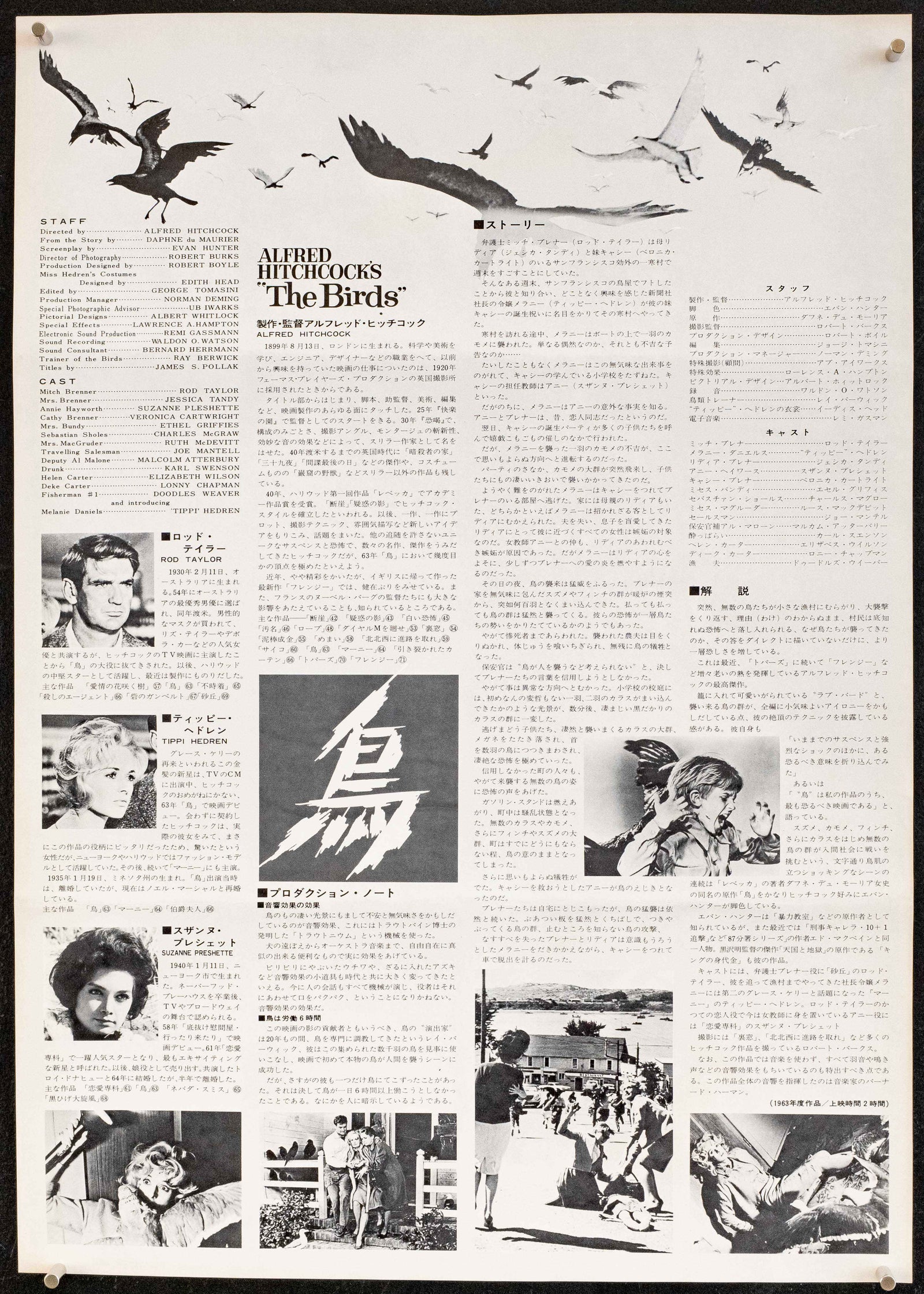 The Birds Original Vintage Movie Poster