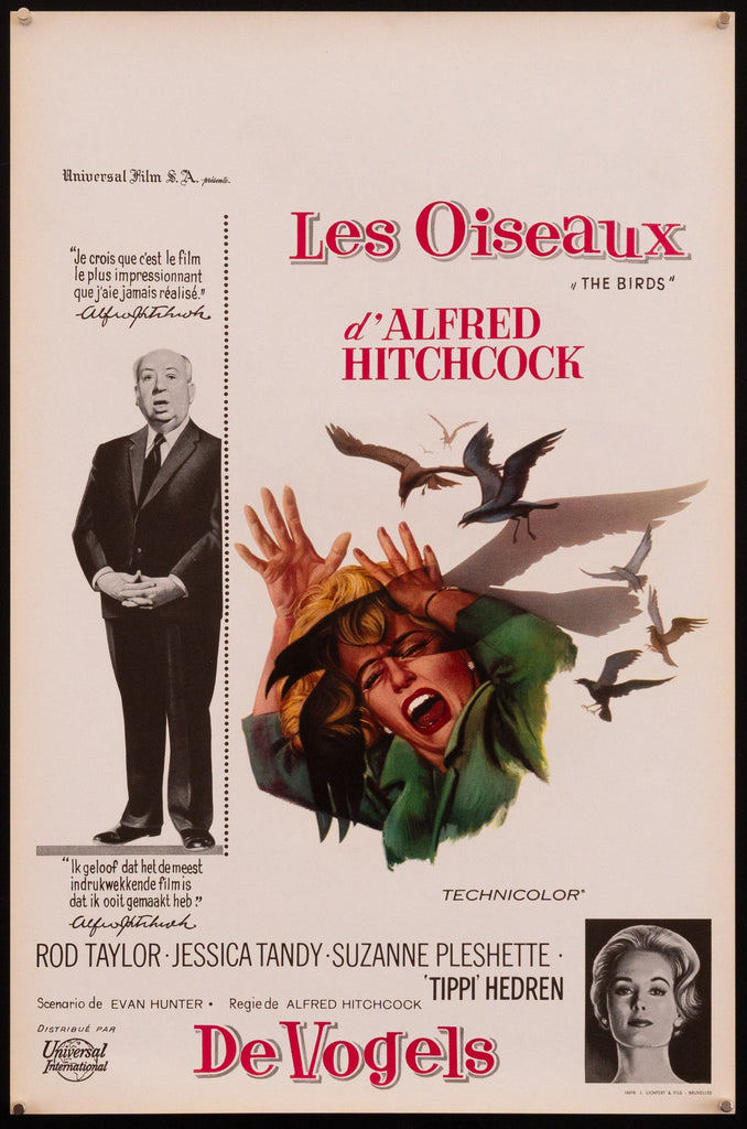 The Birds Belgian (14x22) Original Vintage Movie Poster