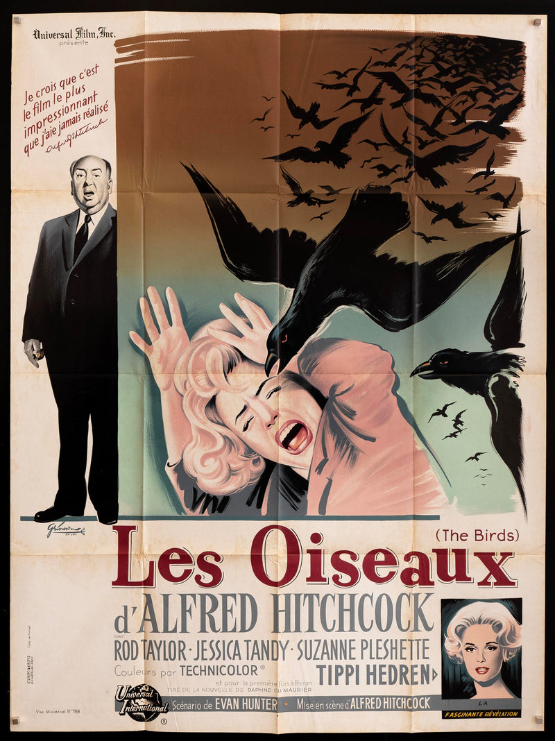 The Birds French 1 panel (47x63) Original Vintage Movie Poster