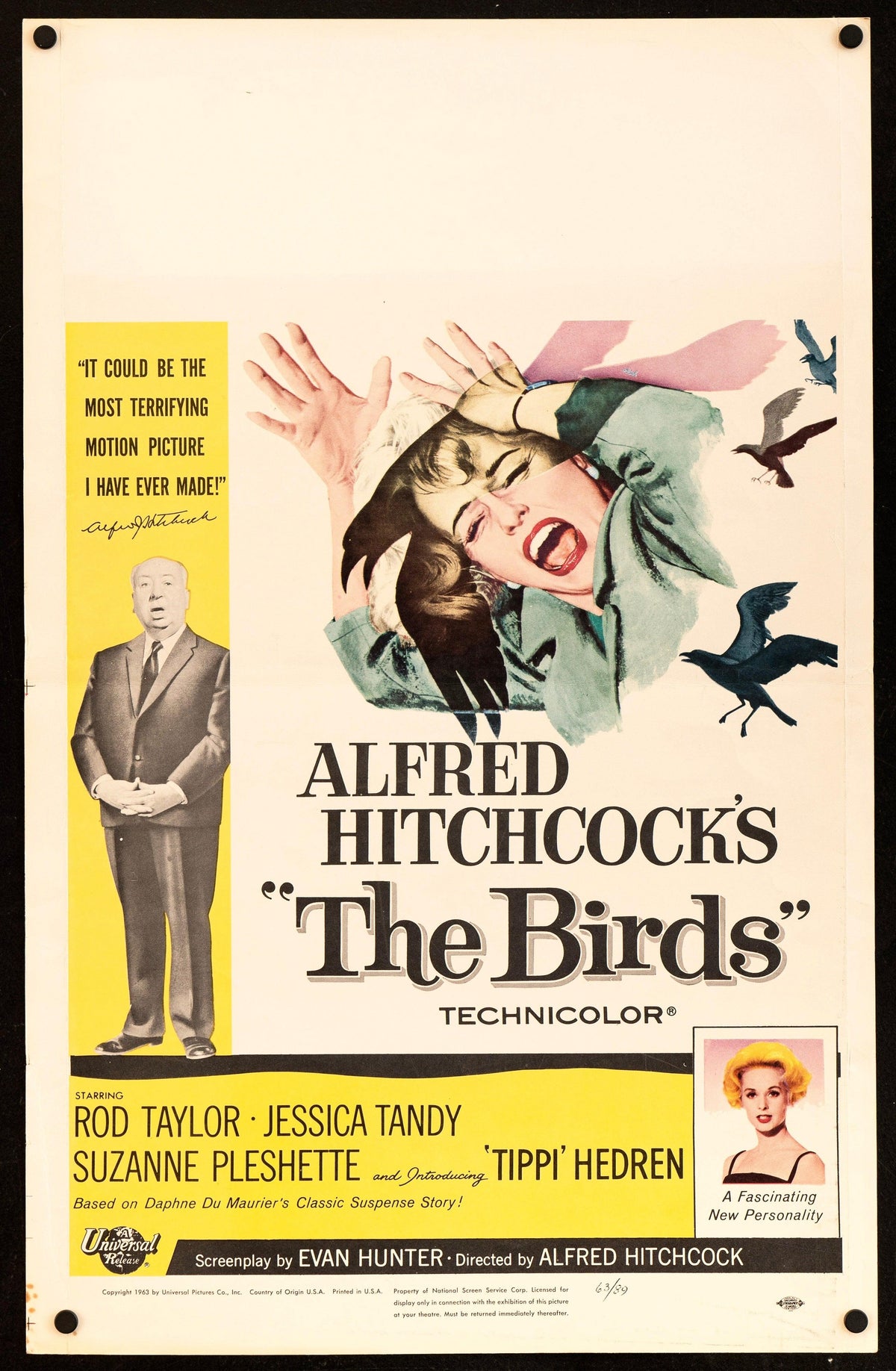 The Birds Original Vintage Movie Poster
