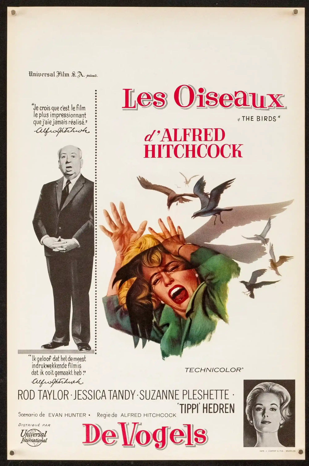The Birds Original Vintage Movie Poster