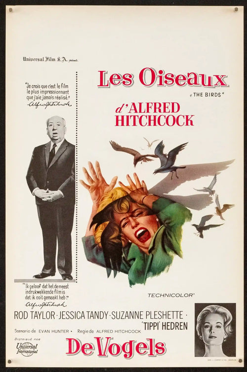 The Birds Original Vintage Movie Poster