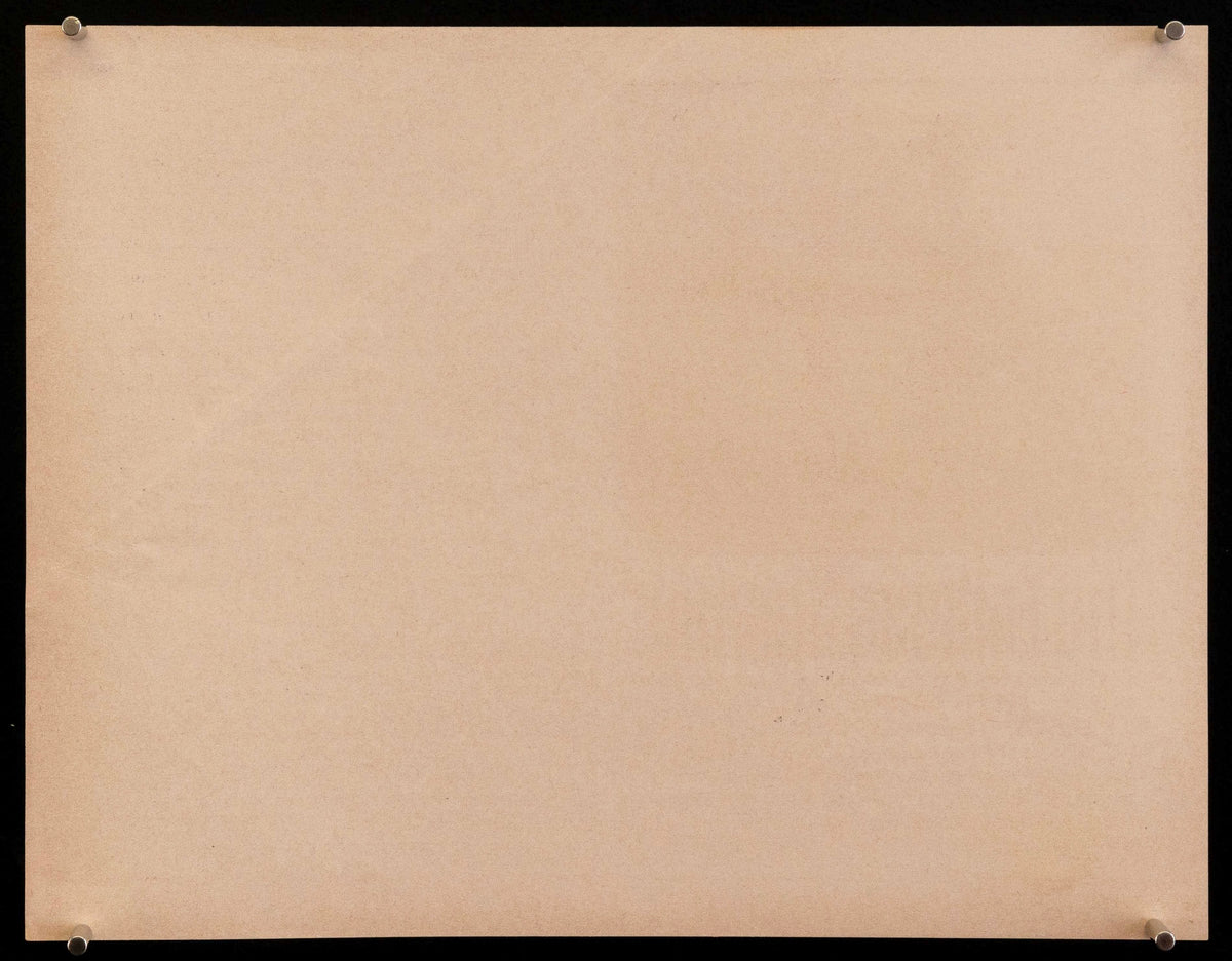 The Endless Summer Original Vintage Movie Poster