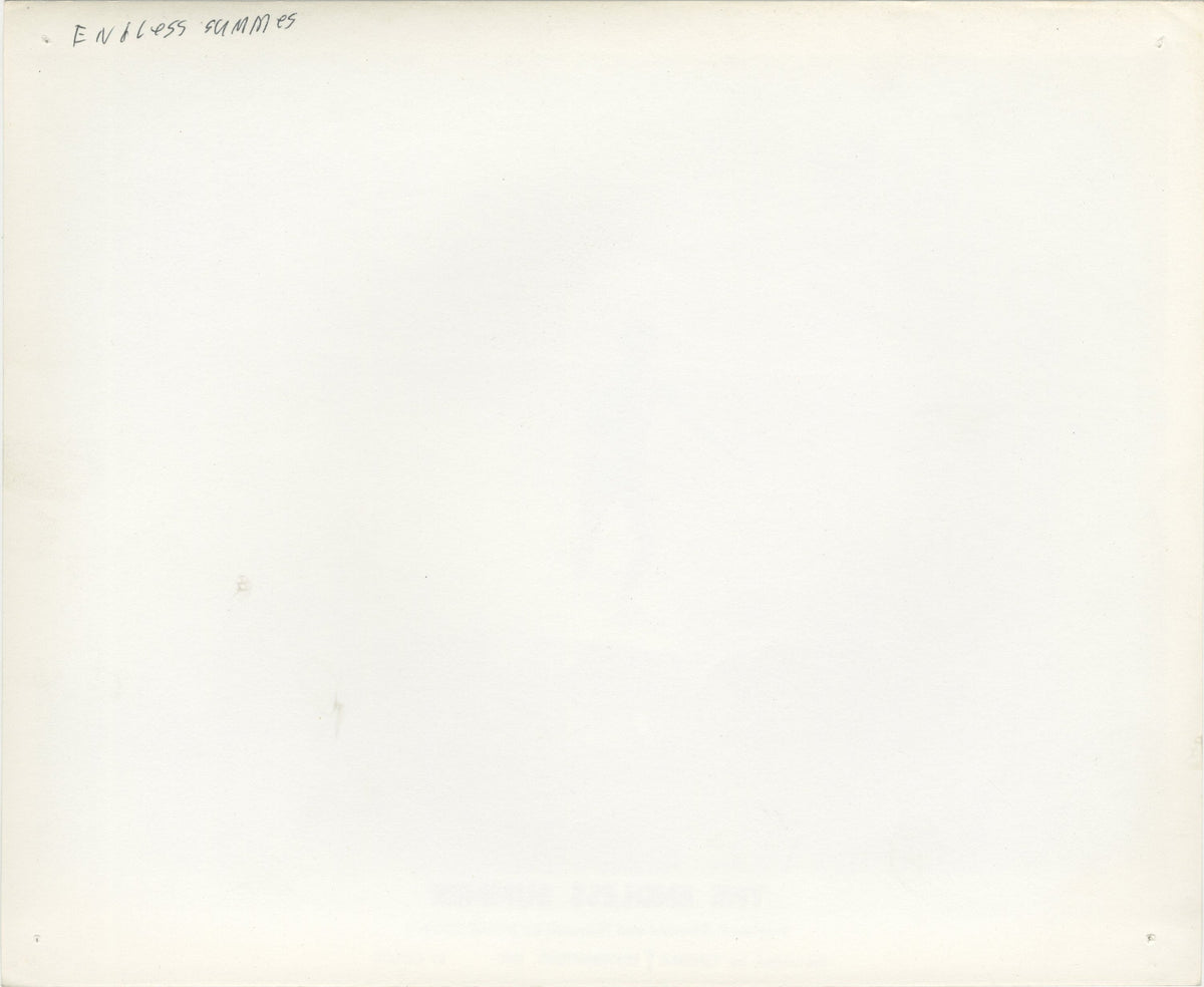 The Endless Summer Original Vintage Movie Poster