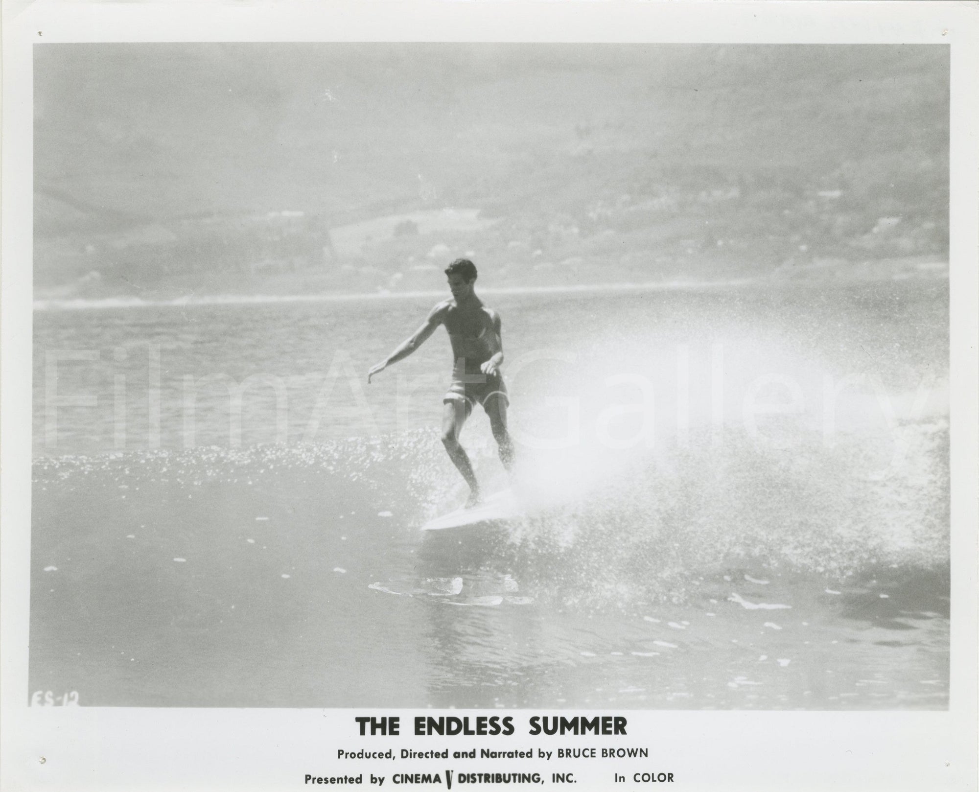 The Endless Summer 8x10 Original Vintage Movie Poster