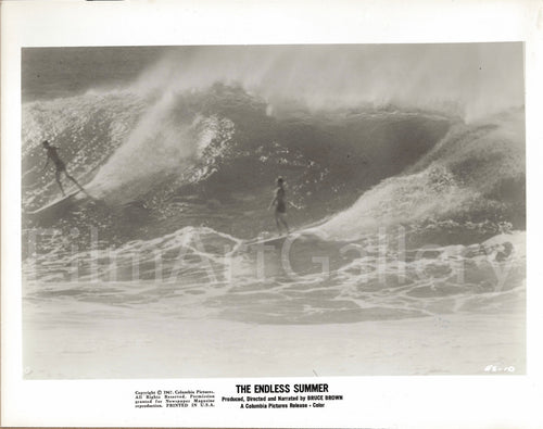 The Endless Summer Original Vintage Movie Poster