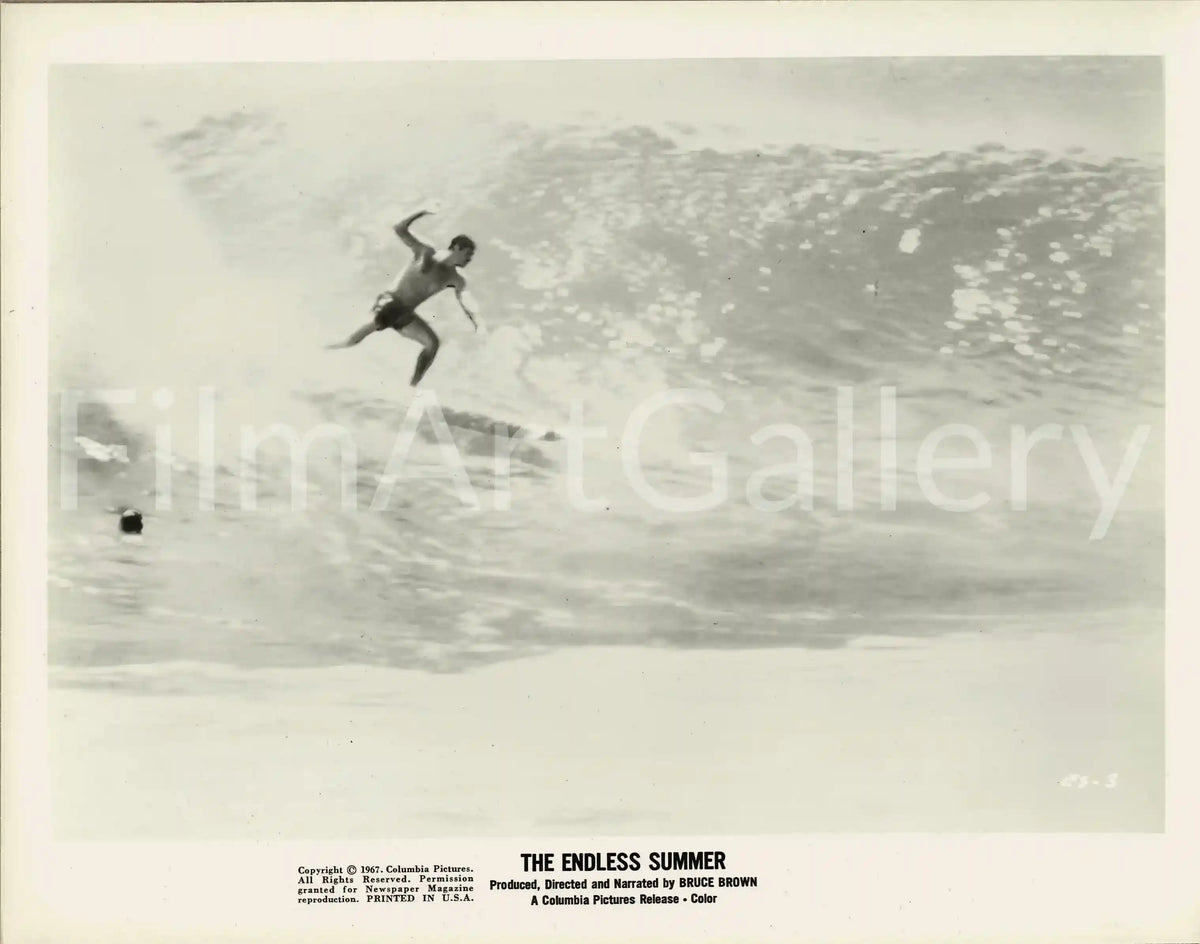 The Endless Summer Original Vintage Movie Poster