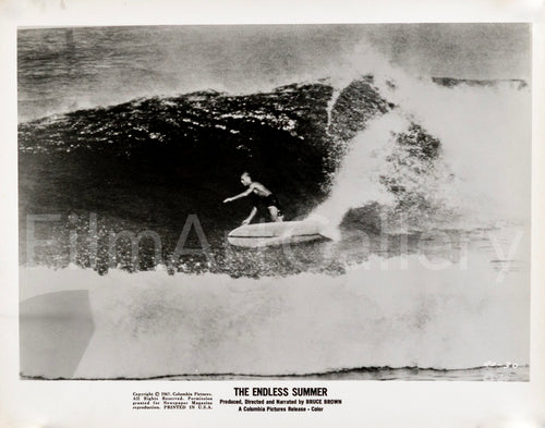 The Endless Summer Original Vintage Movie Poster