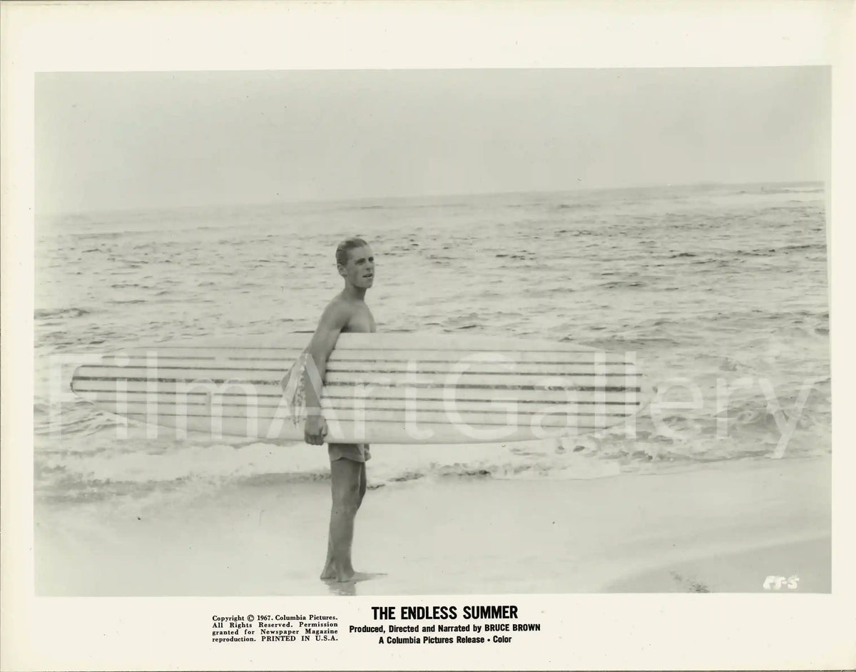 The Endless Summer Original Vintage Movie Poster