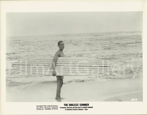 The Endless Summer Original Vintage Movie Poster