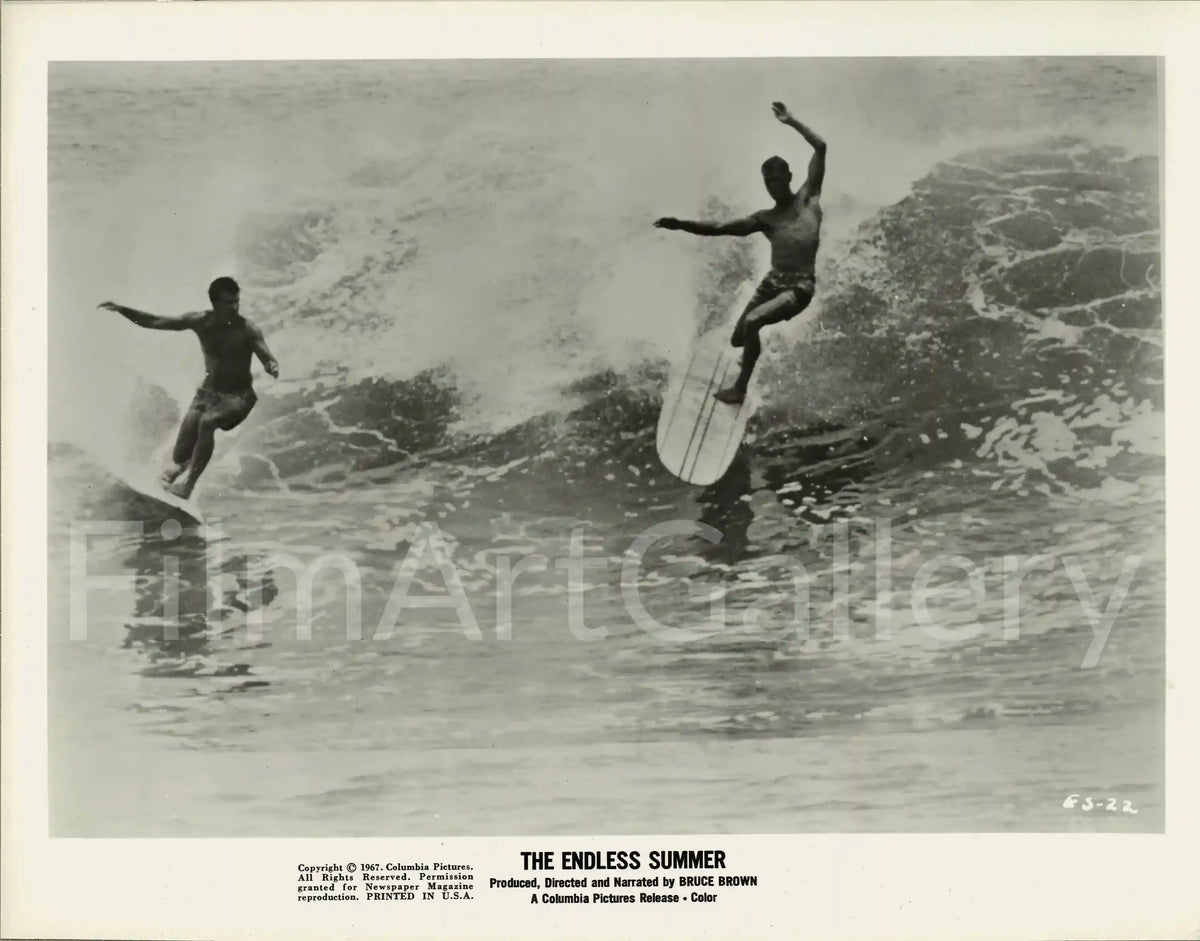The Endless Summer Original Vintage Movie Poster