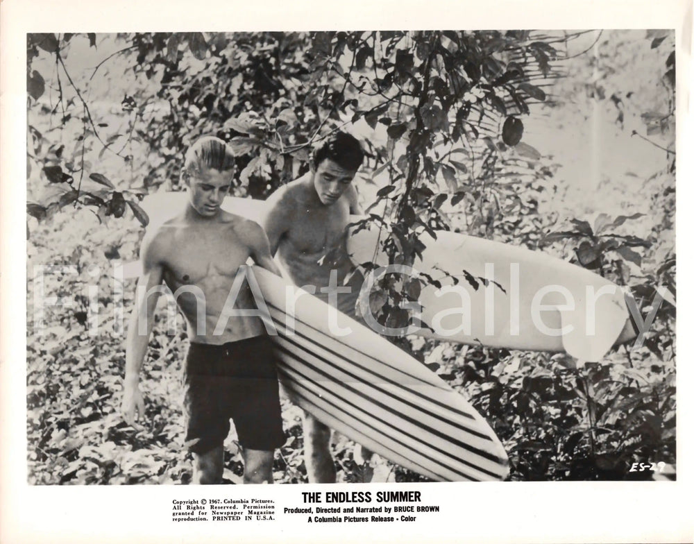 The Endless Summer Original Vintage Movie Poster