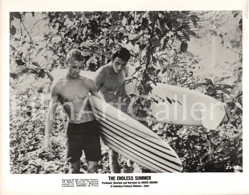 The Endless Summer Original Vintage Movie Poster