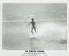 The Endless Summer Original Vintage Movie Poster