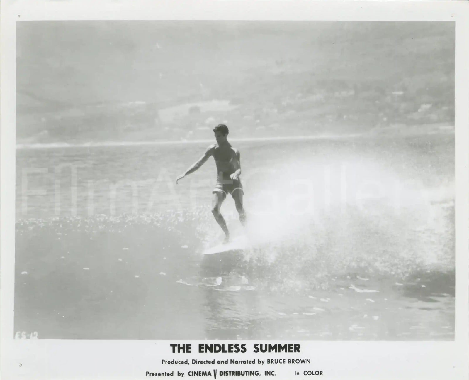 The Endless Summer Original Vintage Movie Poster