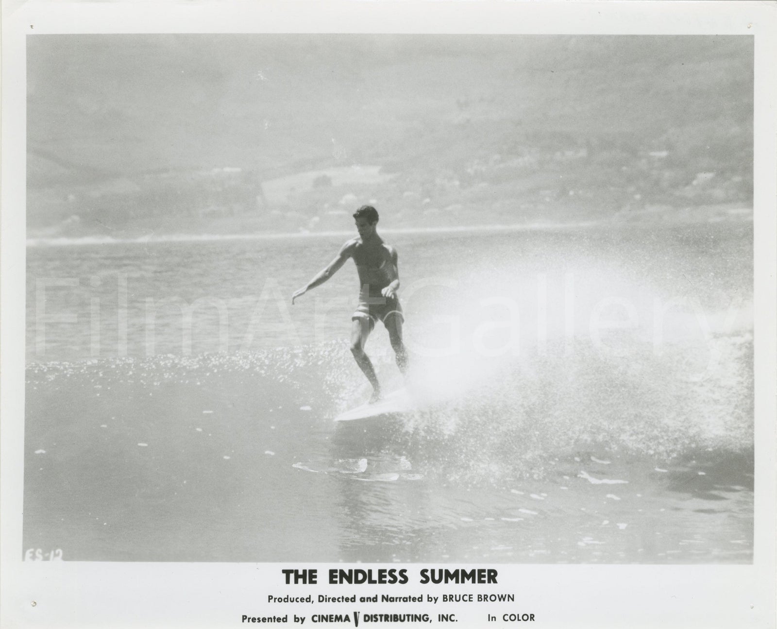 The Endless Summer Original Vintage Movie Poster