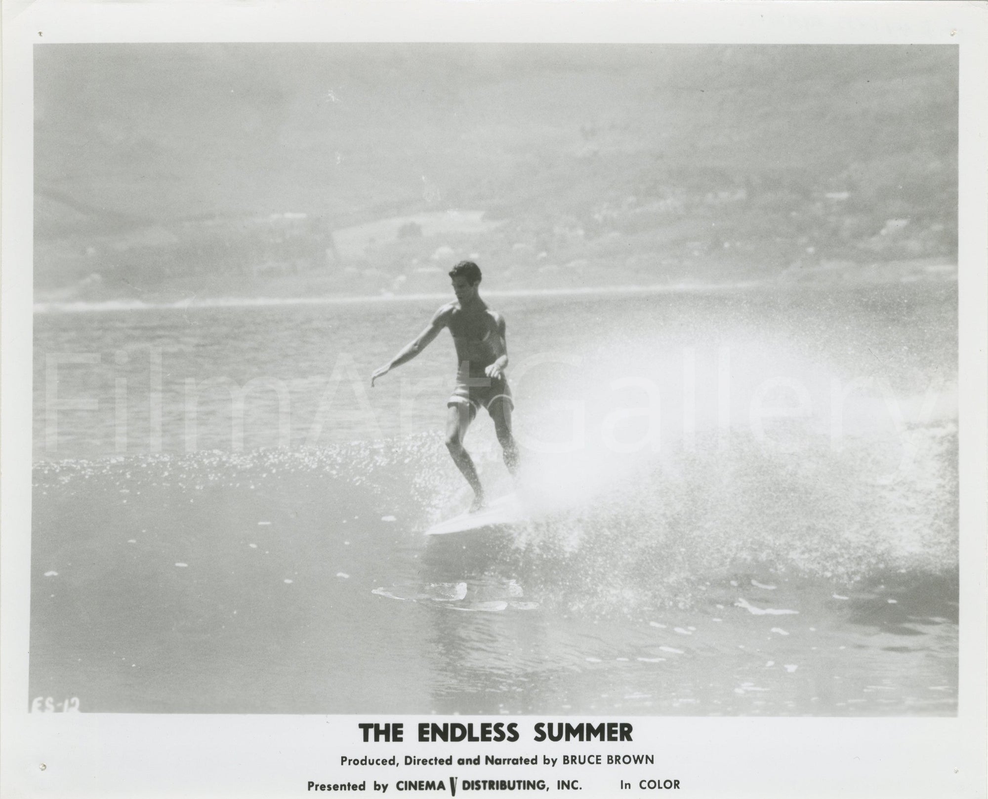 The Endless Summer Original Vintage Movie Poster