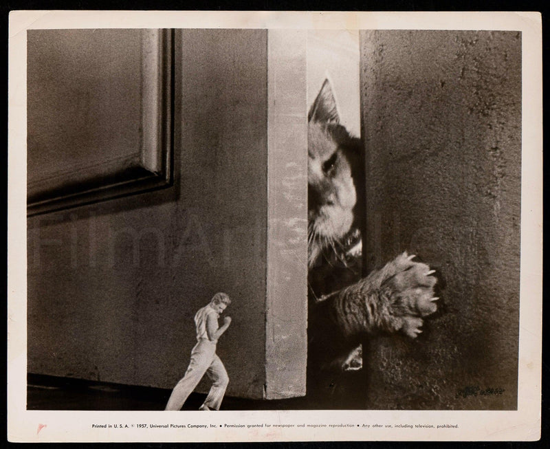 The Incredible Shrinking Man 8x10 Original Vintage Movie Poster