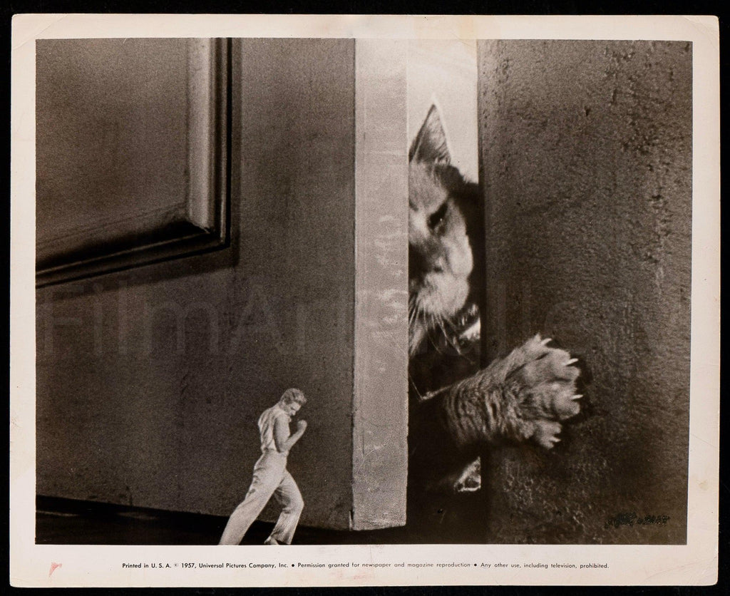 The Incredible Shrinking Man Original Vintage Movie Poster