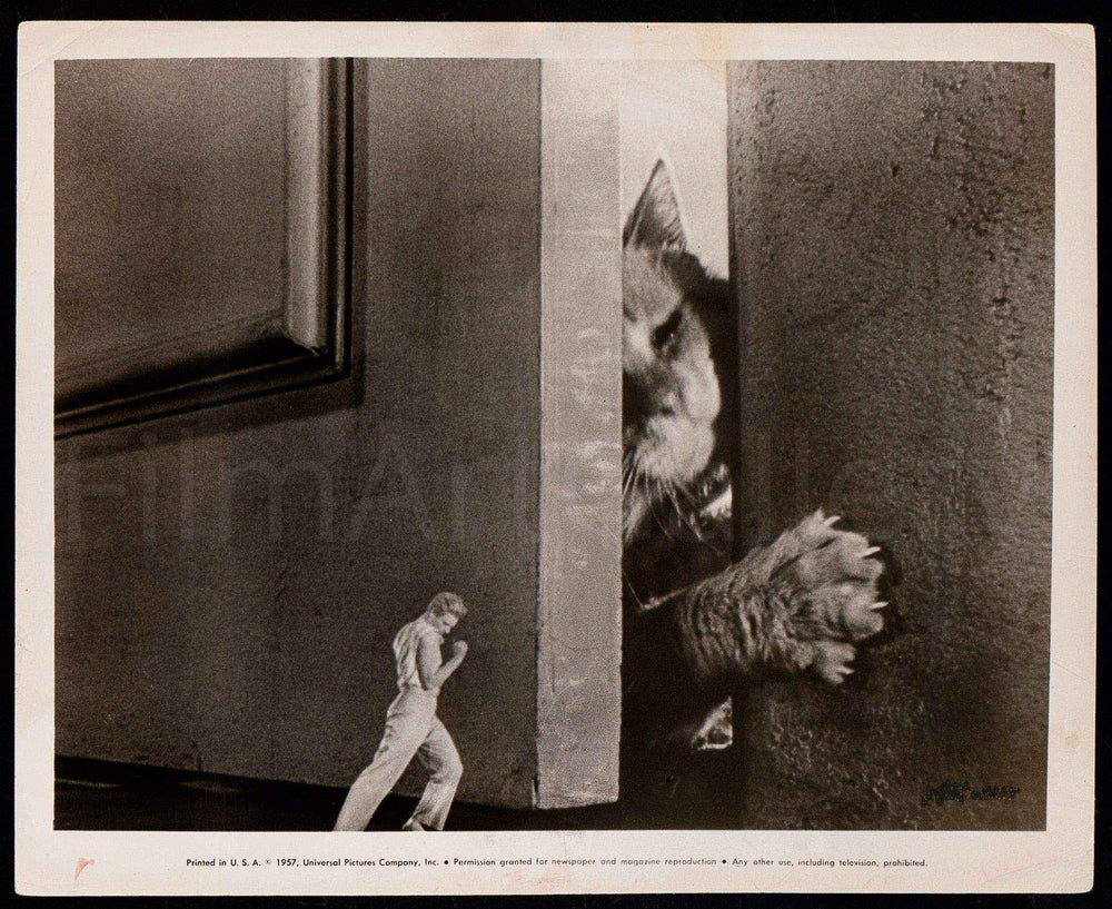 The Incredible Shrinking Man Original Vintage Movie Poster