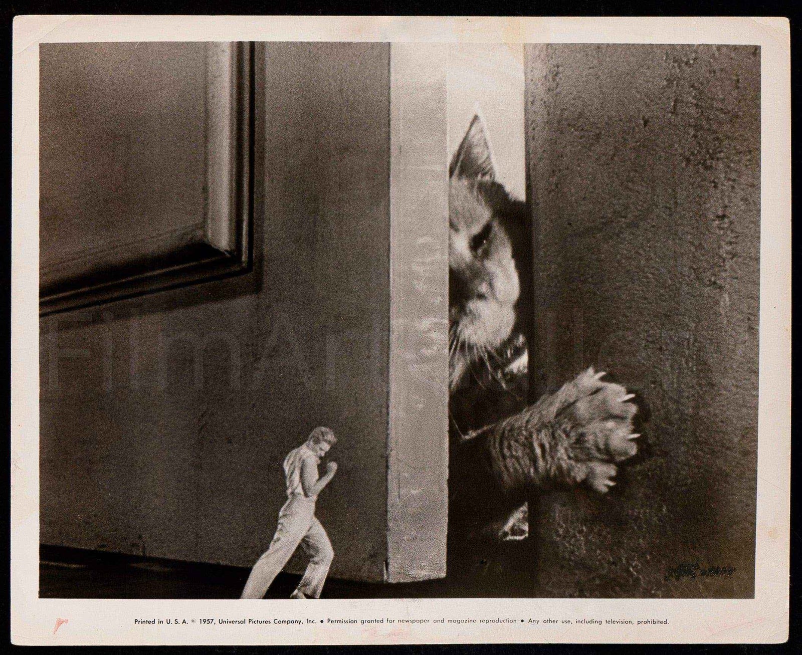 The Incredible Shrinking Man