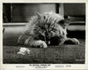 The Incredible Shrinking Man Original Vintage Movie Poster